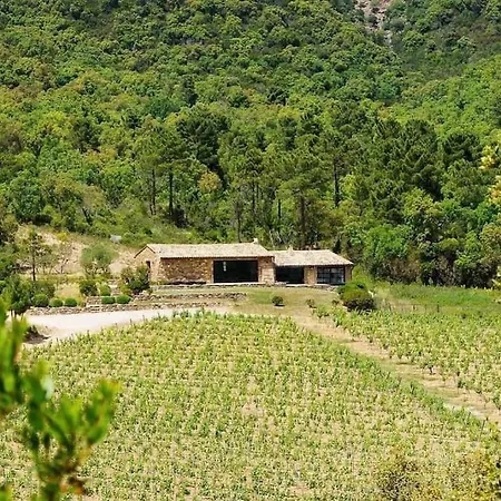 Villa Bergerie Dans Les Vignes Bormes-les-Mimosas