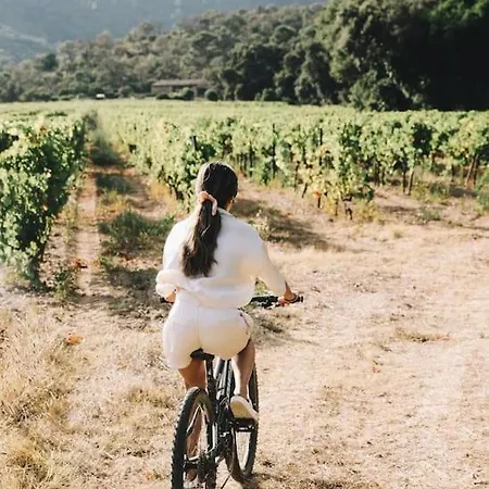 Bergerie Dans Les Vignes