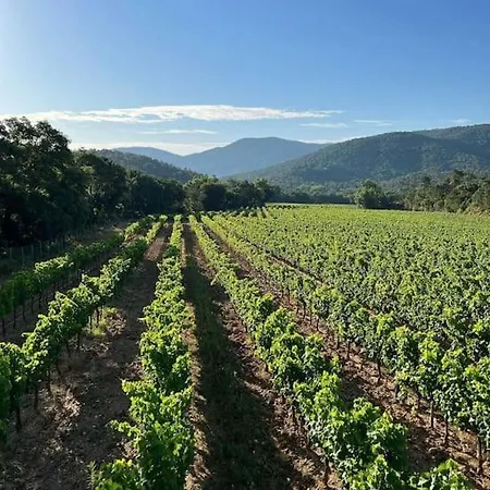 Bergerie Dans Les Vignes