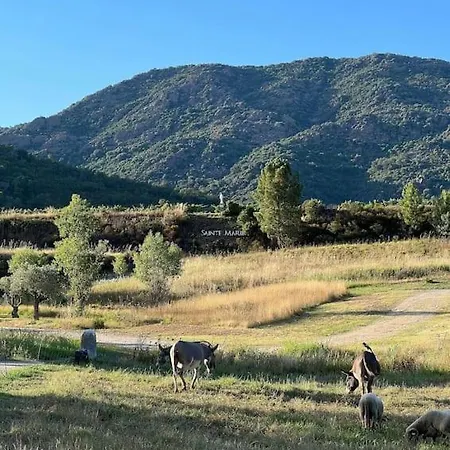 Bergerie Dans Les Vignes * Bormes-les-Mimosas